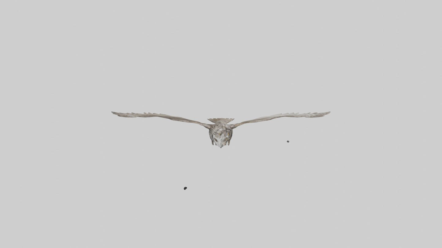 LongEared Owl flying model VR / AR / low-poly