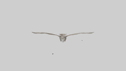LongEared Owl flying model VR / AR / low-poly