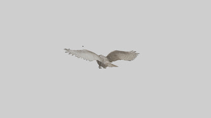 LongEared Owl flying model VR / AR / low-poly