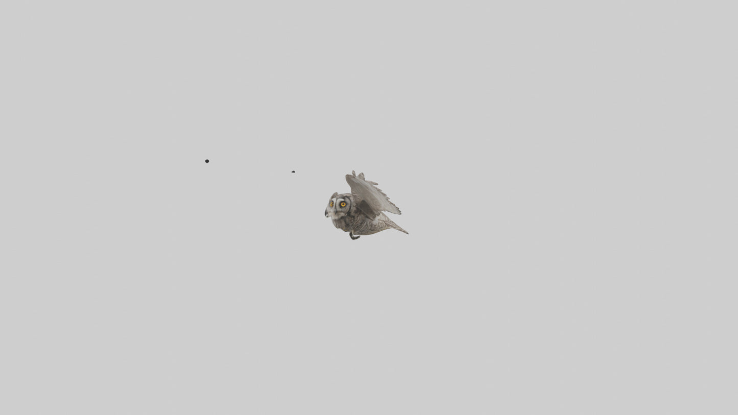 LongEared Owl flying model VR / AR / low-poly
