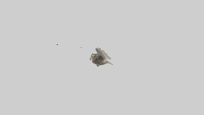 LongEared Owl flying model VR / AR / low-poly