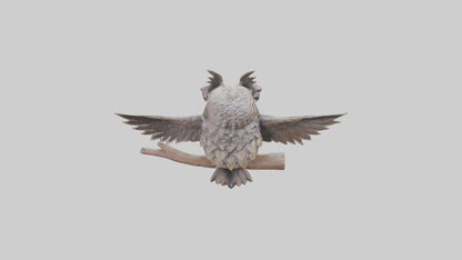 3D model Longeared Owl statue model VR / AR / low-poly