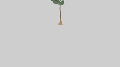 3D model Longleaf Pine tree model VR / AR / low-poly