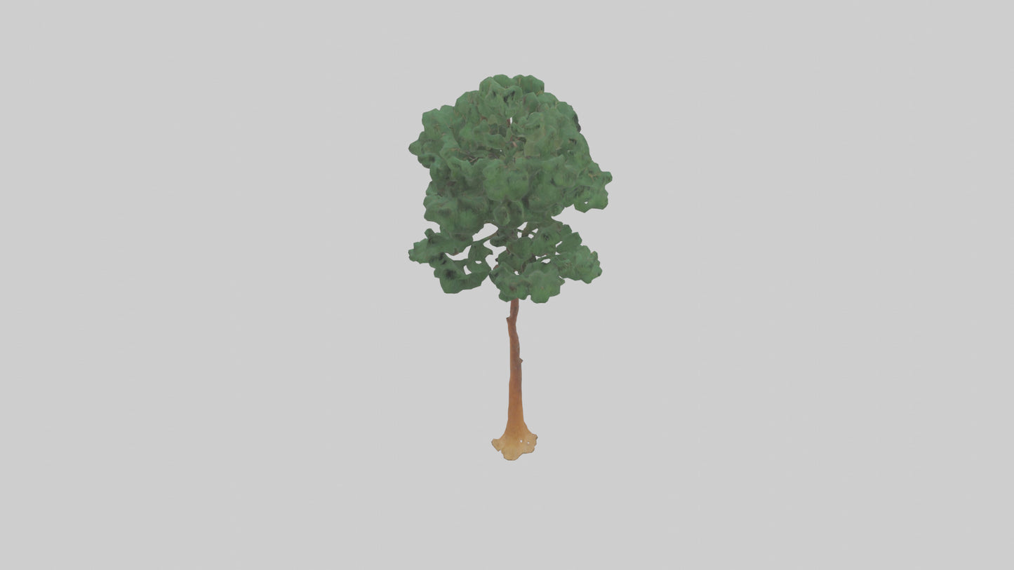 3D model Longleaf Pine tree model VR / AR / low-poly