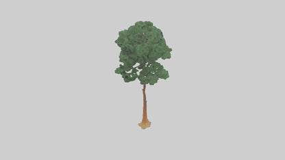 3D model Longleaf Pine tree model VR / AR / low-poly