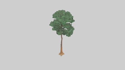 3D model Longleaf Pine tree model VR / AR / low-poly