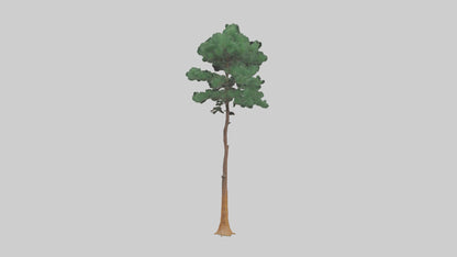 3D model Longleaf Pine tree model VR / AR / low-poly