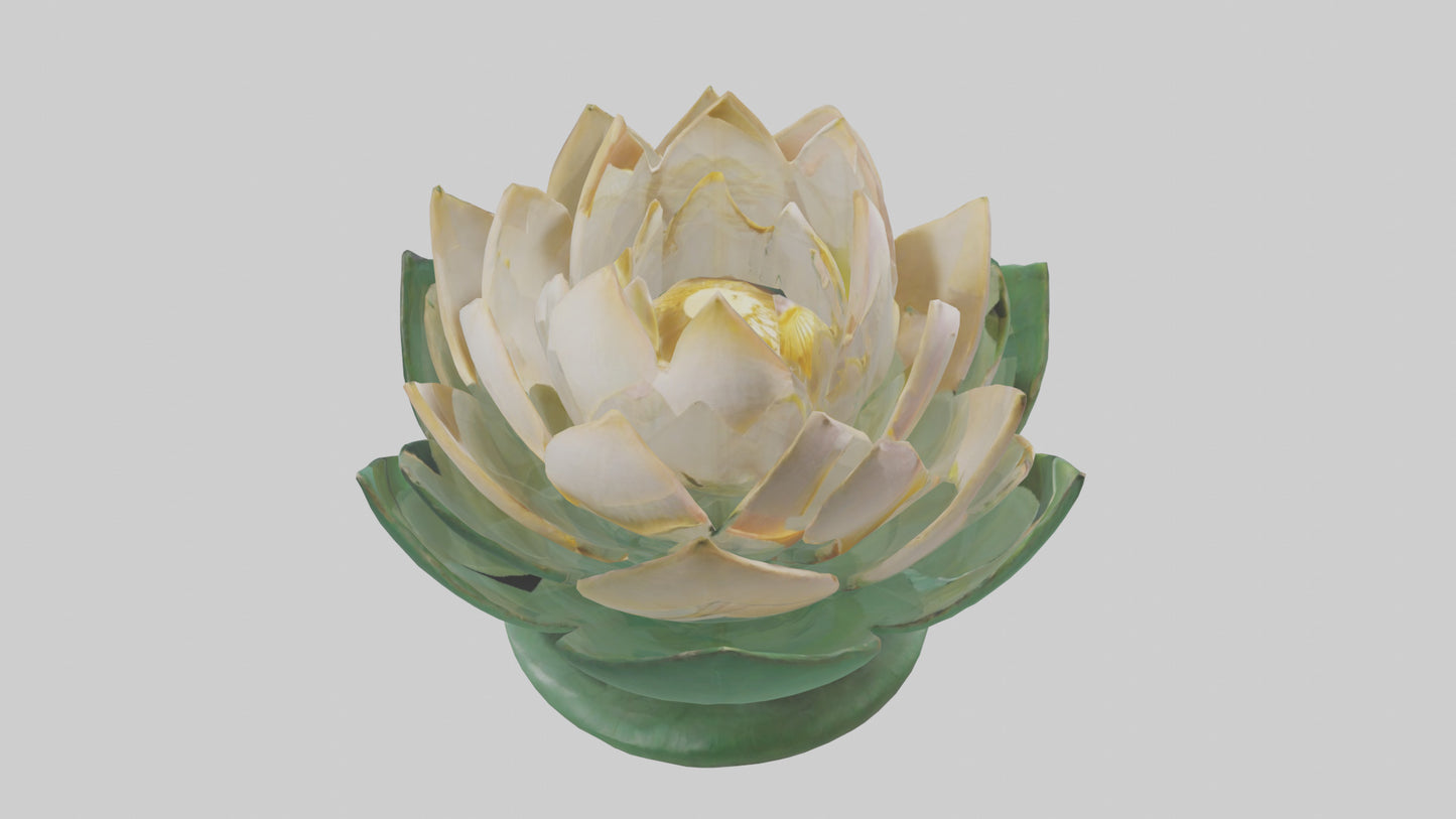 3D model Lotus Blossom Sculpture model VR / AR / low-poly