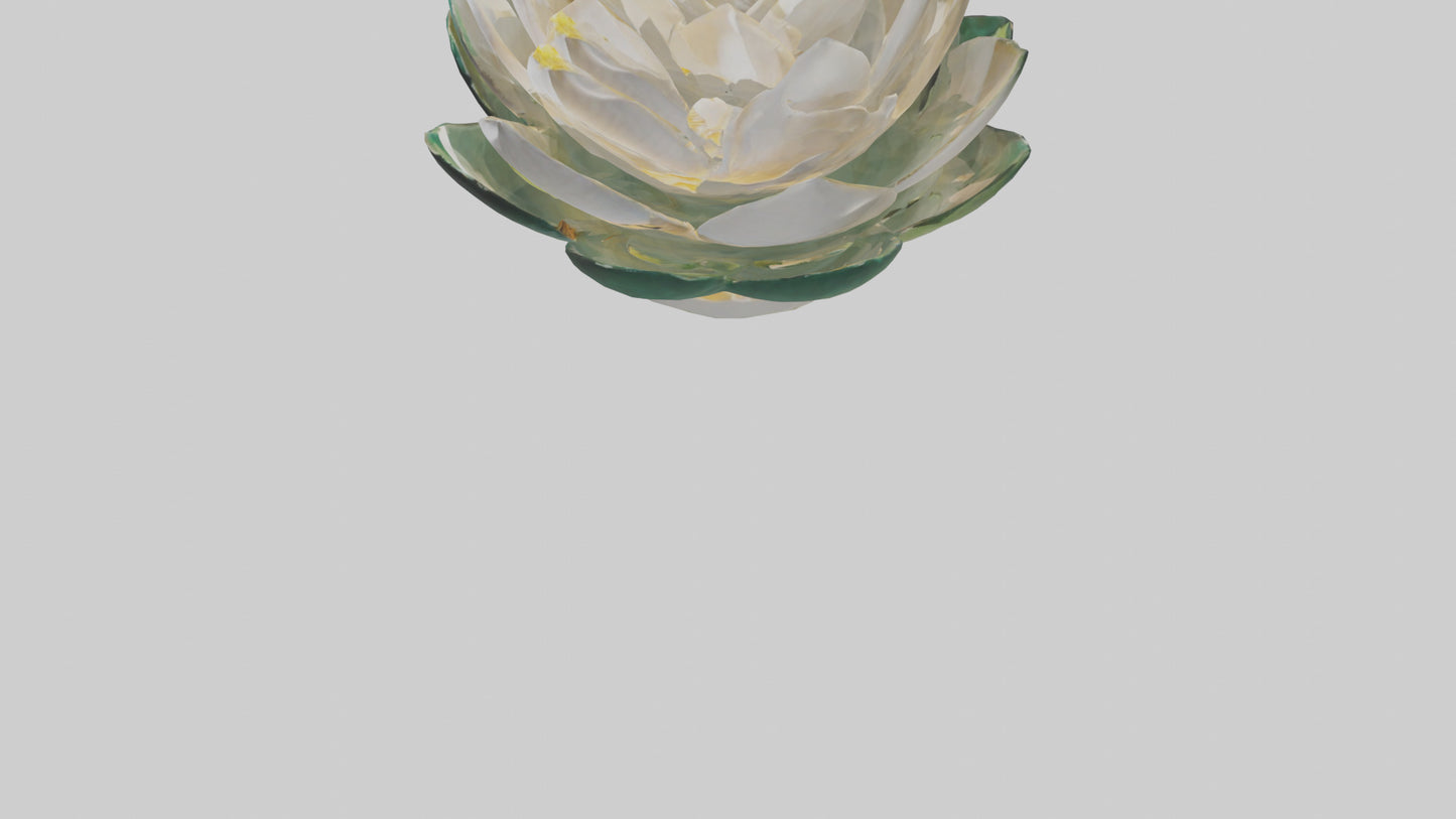 3D model Lotus Flower in Motion Sculpture model VR / AR / low-poly