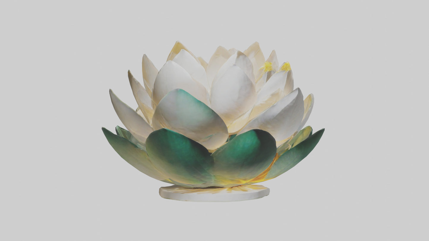 3D model Lotus Flower in Motion Sculpture model VR / AR / low-poly