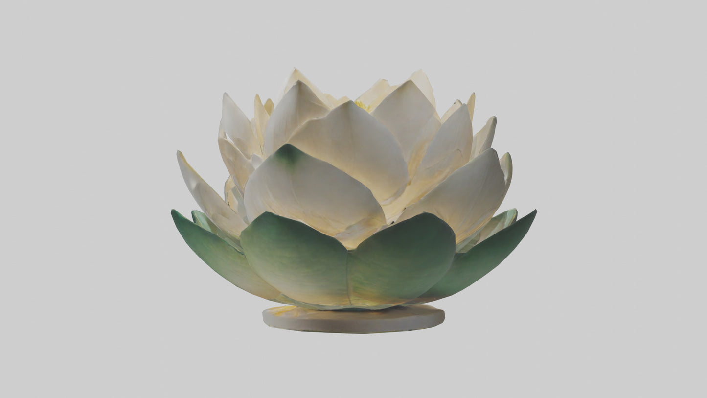 3D model Lotus Flower in Motion Sculpture model VR / AR / low-poly