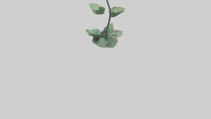 3D model Lotus Stem Sculpture model VR / AR / low-poly