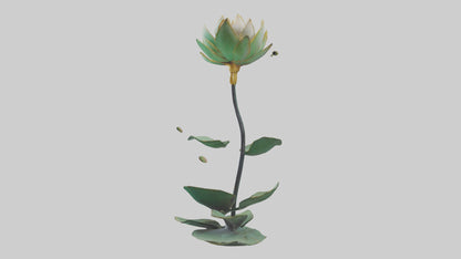 3D model Lotus Stem Sculpture model VR / AR / low-poly