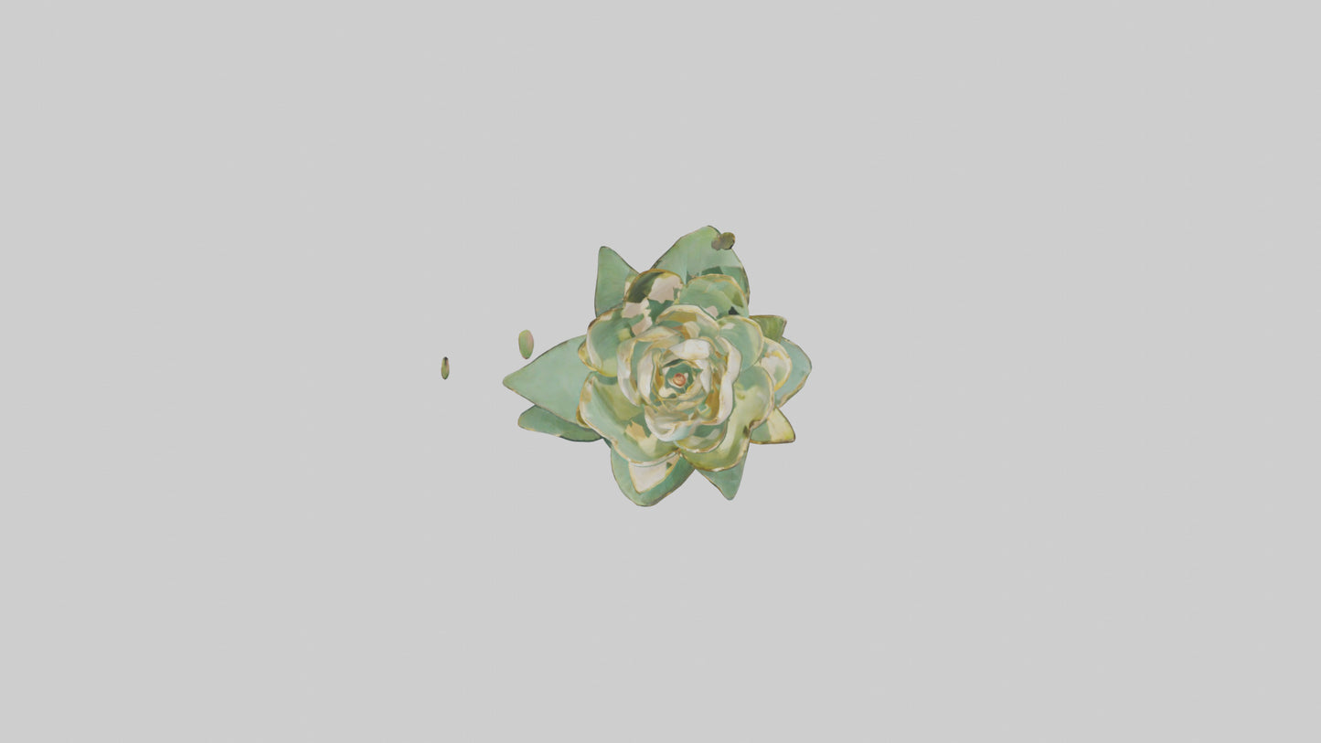 3D model Lotus Stem Sculpture model VR / AR / low-poly