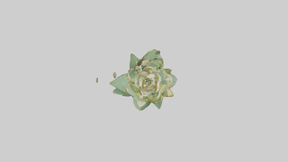 3D model Lotus Stem Sculpture model VR / AR / low-poly