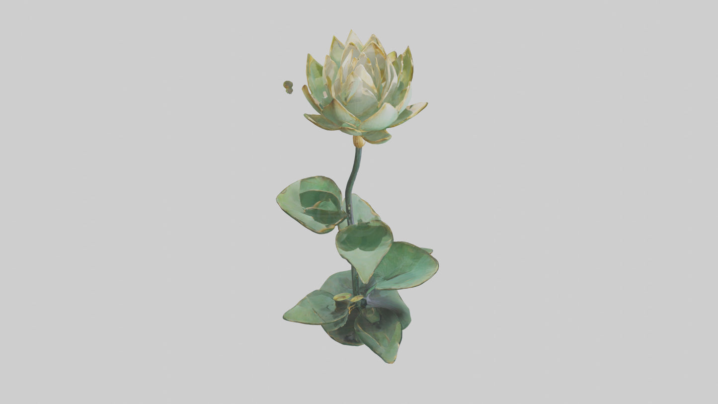 3D model Lotus Stem Sculpture model VR / AR / low-poly