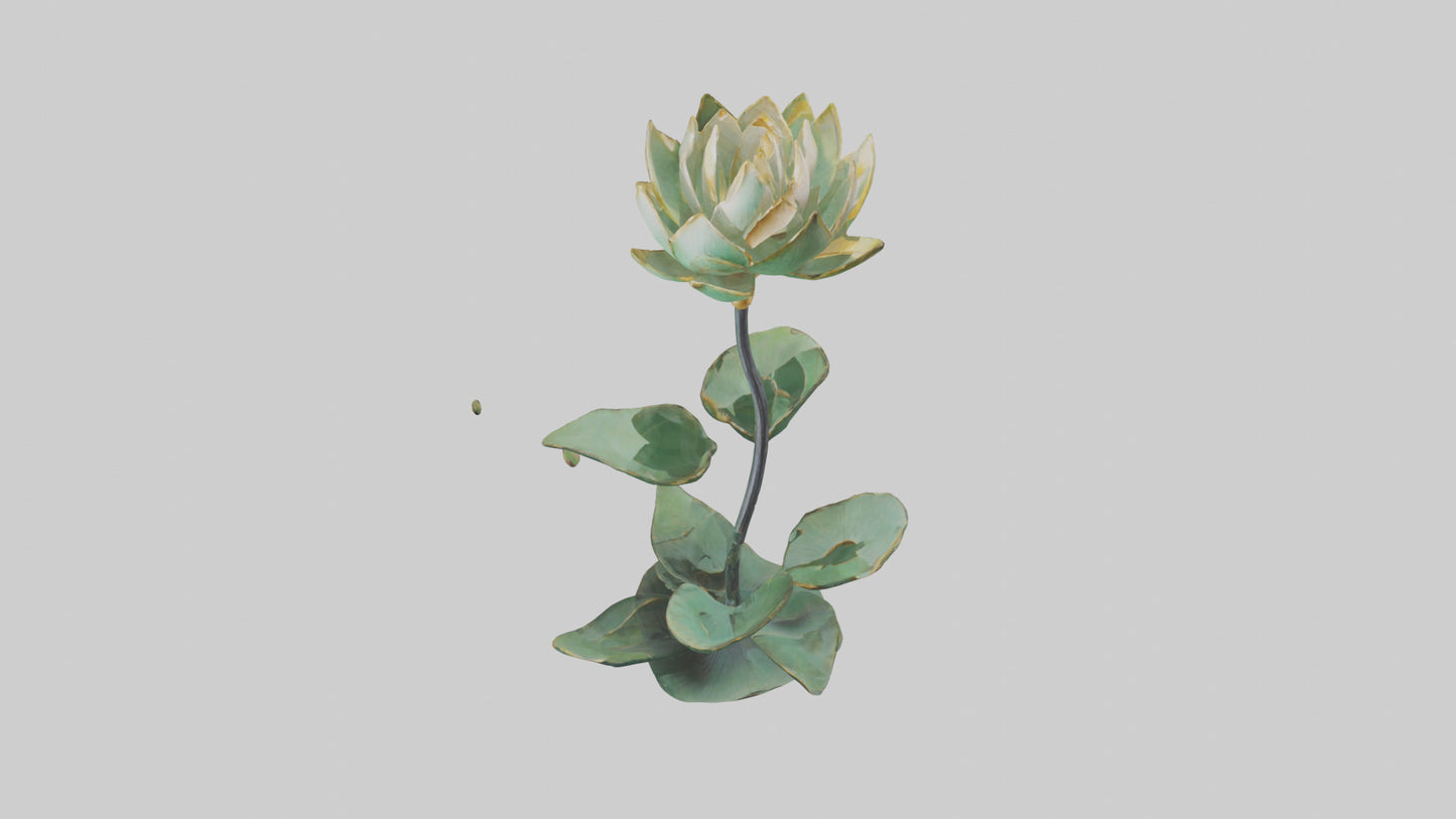3D model Lotus Stem Sculpture model VR / AR / low-poly