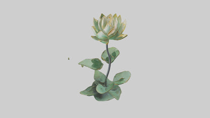 3D model Lotus Stem Sculpture model VR / AR / low-poly
