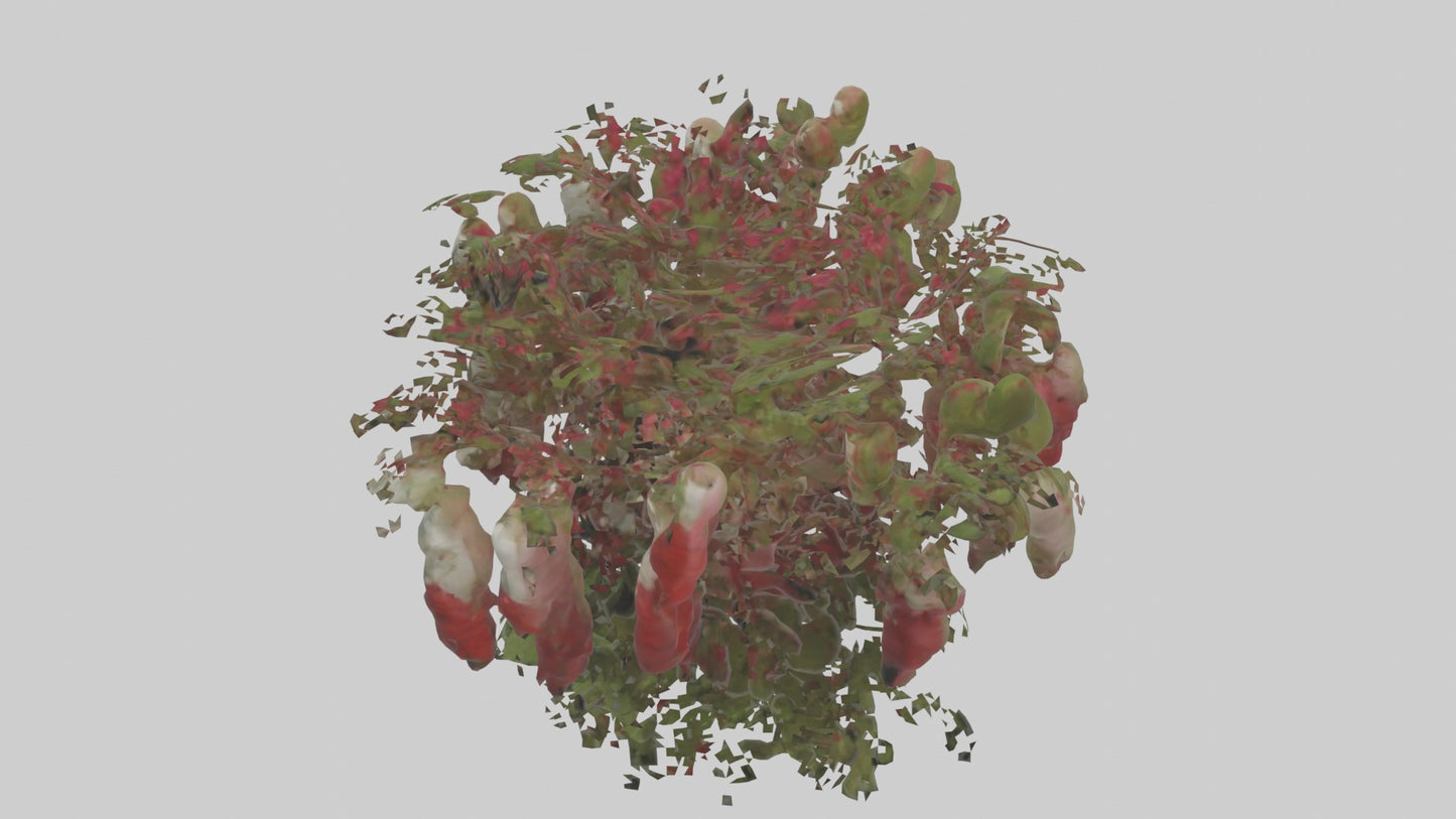 3D model Loveliesbleedingmo 1 VR / AR / low-poly