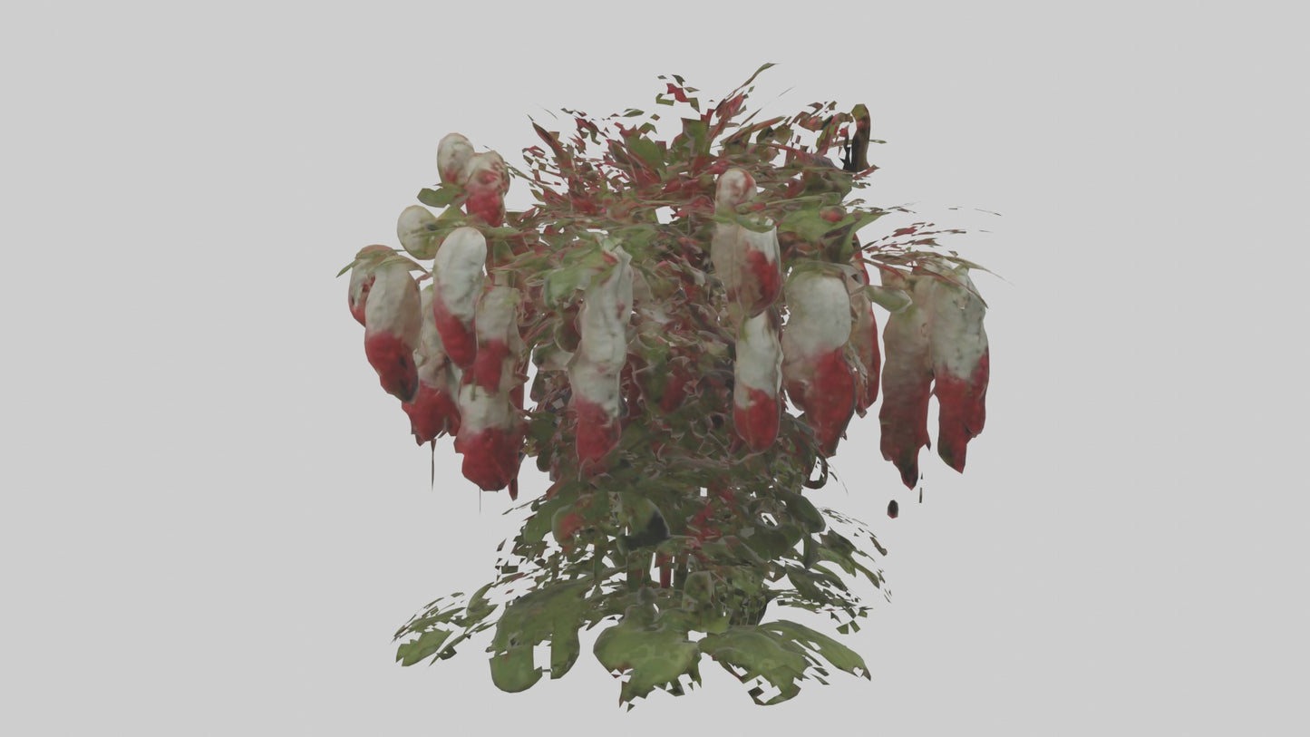 3D model Loveliesbleedingmo 1 VR / AR / low-poly