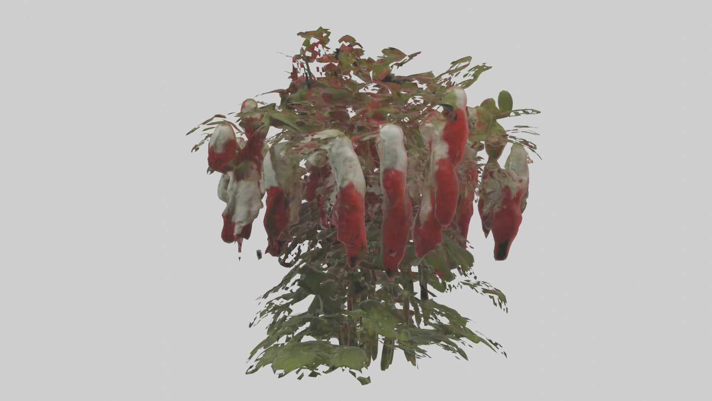 3D model Loveliesbleedingmo 1 VR / AR / low-poly