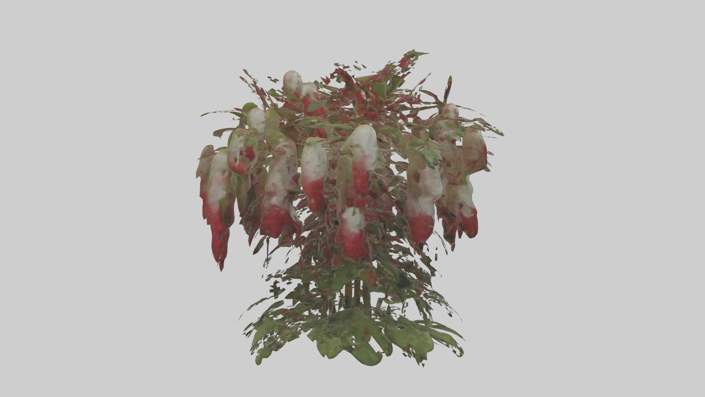 3D model Loveliesbleedingmo 1 VR / AR / low-poly