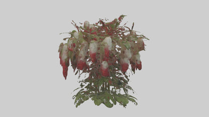 3D model Loveliesbleedingmo 1 VR / AR / low-poly