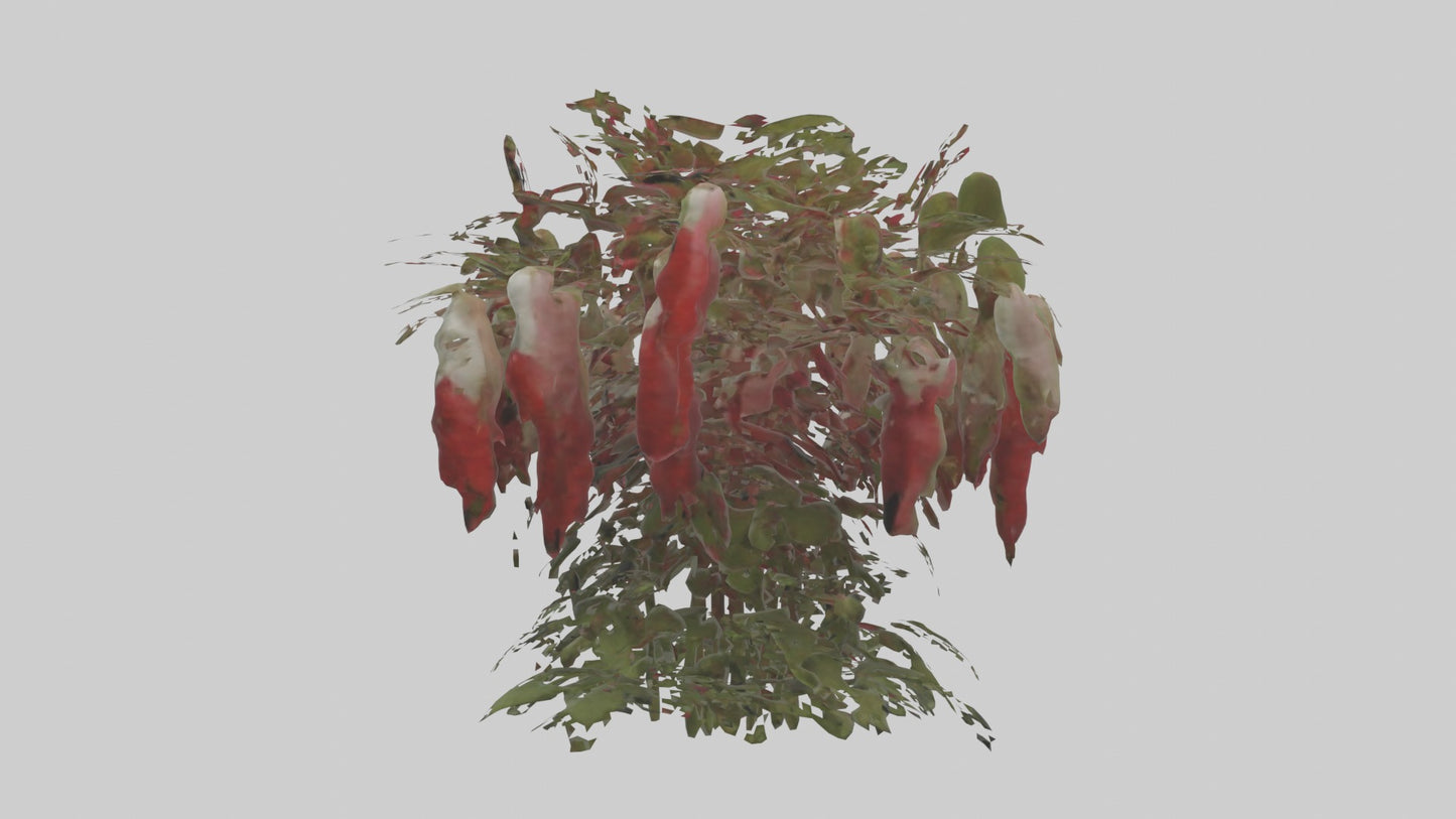 3D model Loveliesbleedingmo 1 VR / AR / low-poly