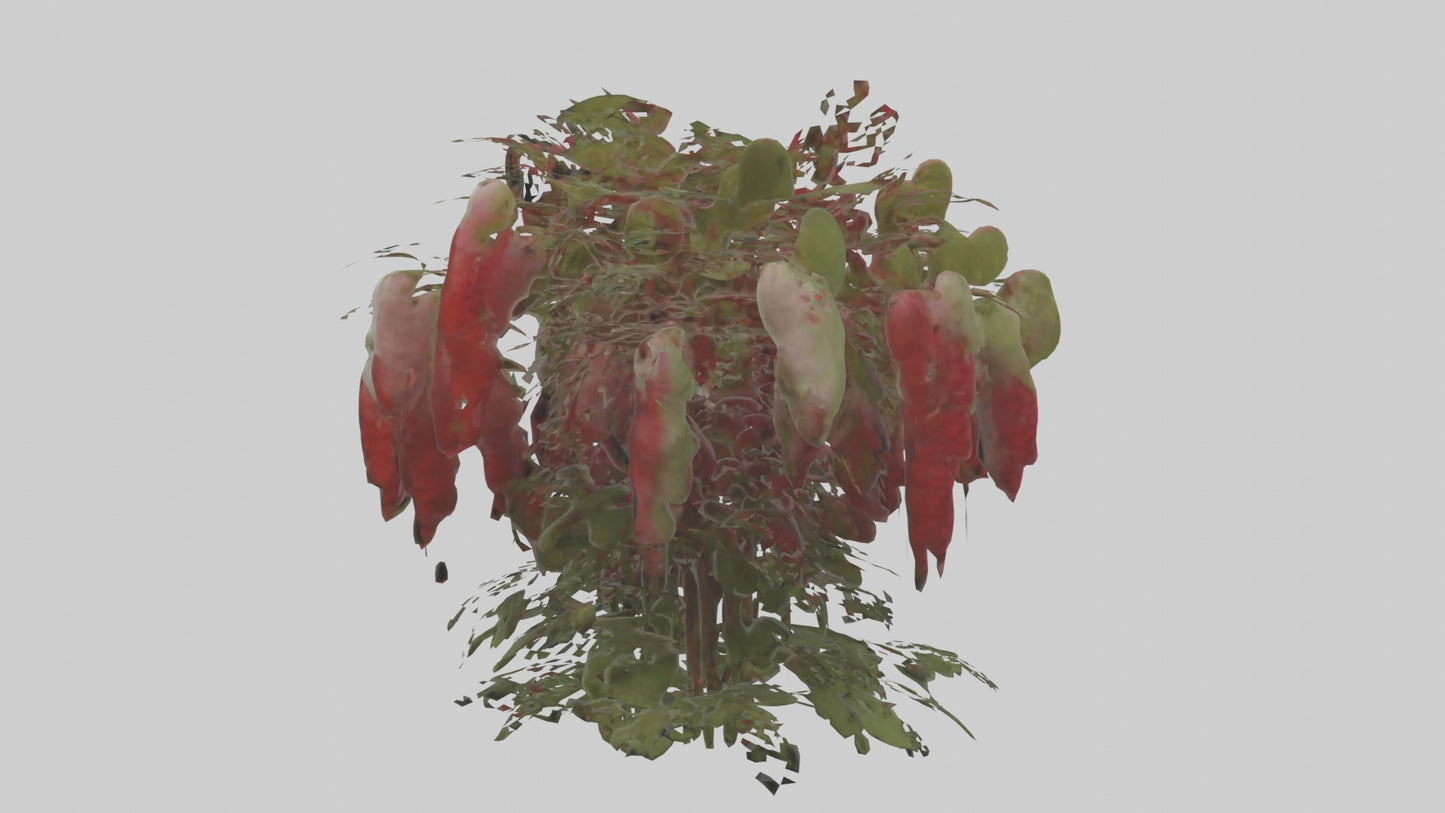 3D model Loveliesbleedingmo 1 VR / AR / low-poly