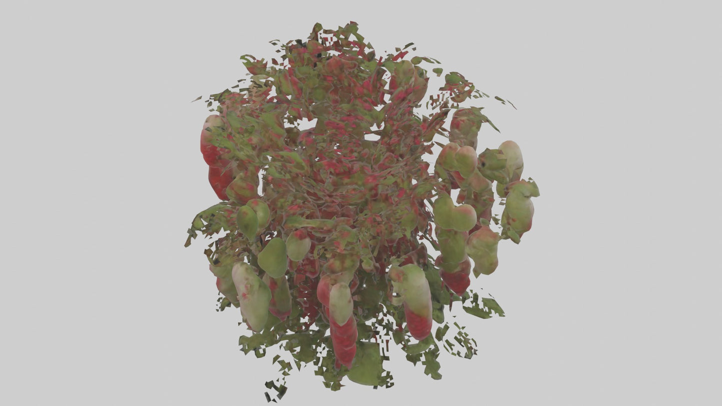 3D model Loveliesbleedingmo 1 VR / AR / low-poly