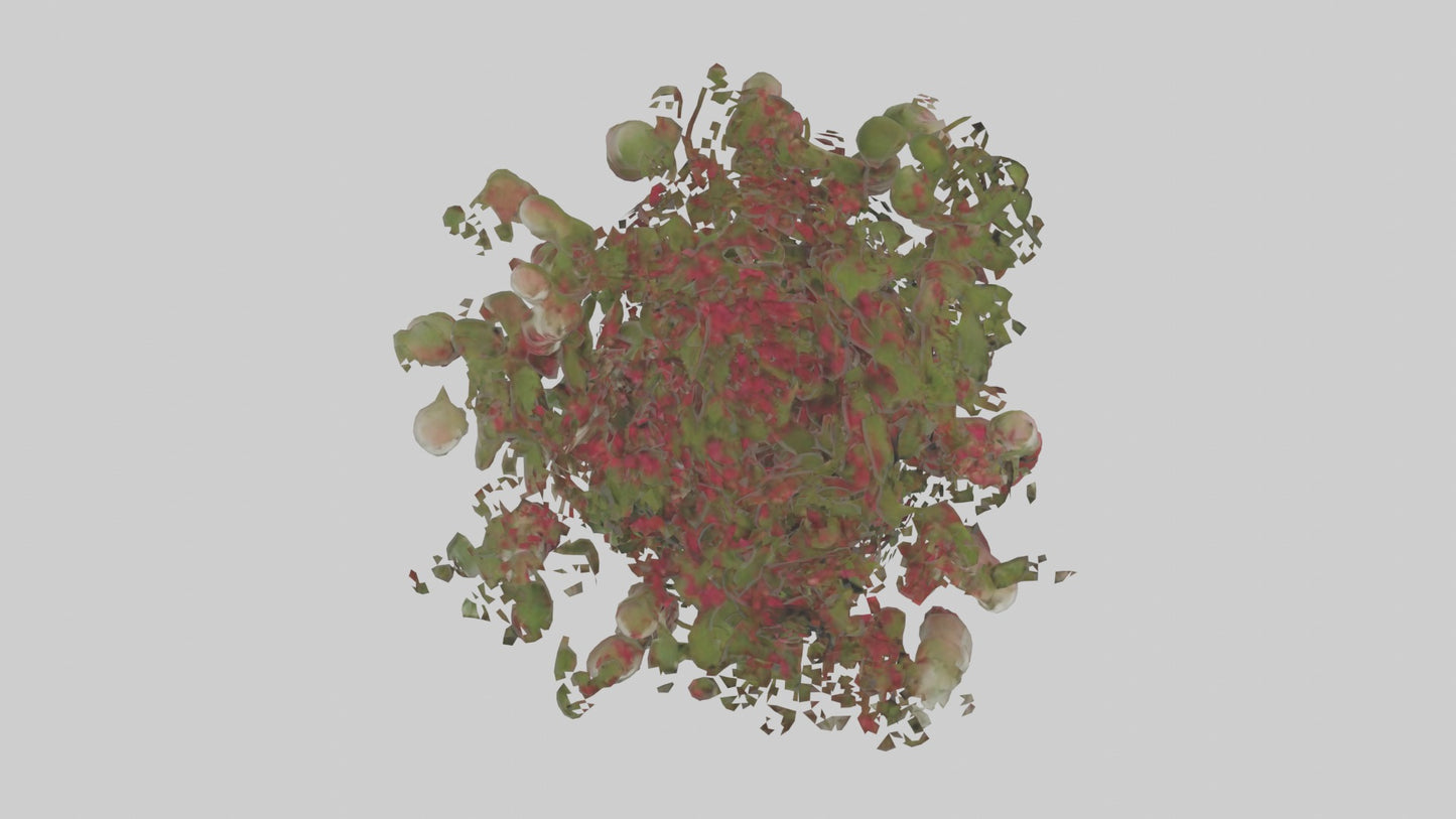 3D model Loveliesbleedingmo 1 VR / AR / low-poly