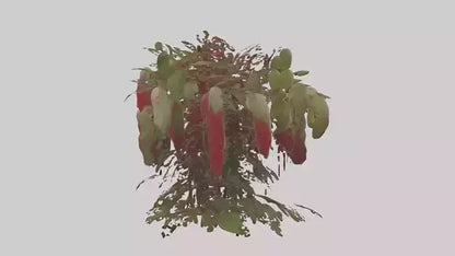 3D model Loveliesbleedingmo 1 VR / AR / low-poly