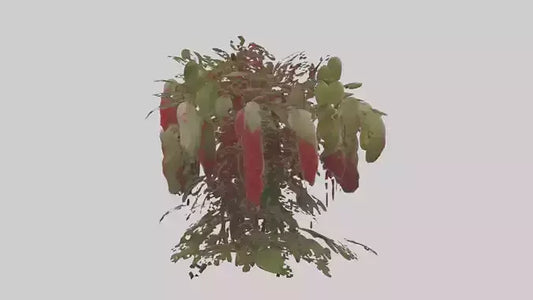 3D model Loveliesbleedingmo 1 VR / AR / low-poly