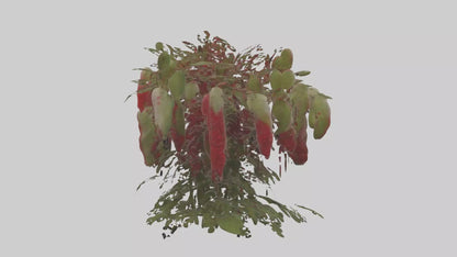 3D model Loveliesbleedingmo 1 VR / AR / low-poly