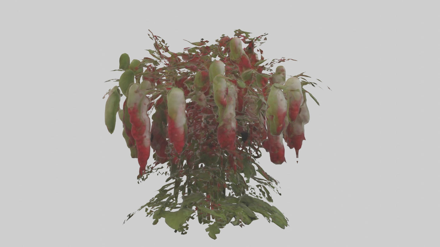 3D model Loveliesbleedingmo 1 VR / AR / low-poly