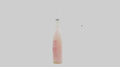 3D model Lychee juice model VR / AR / low-poly