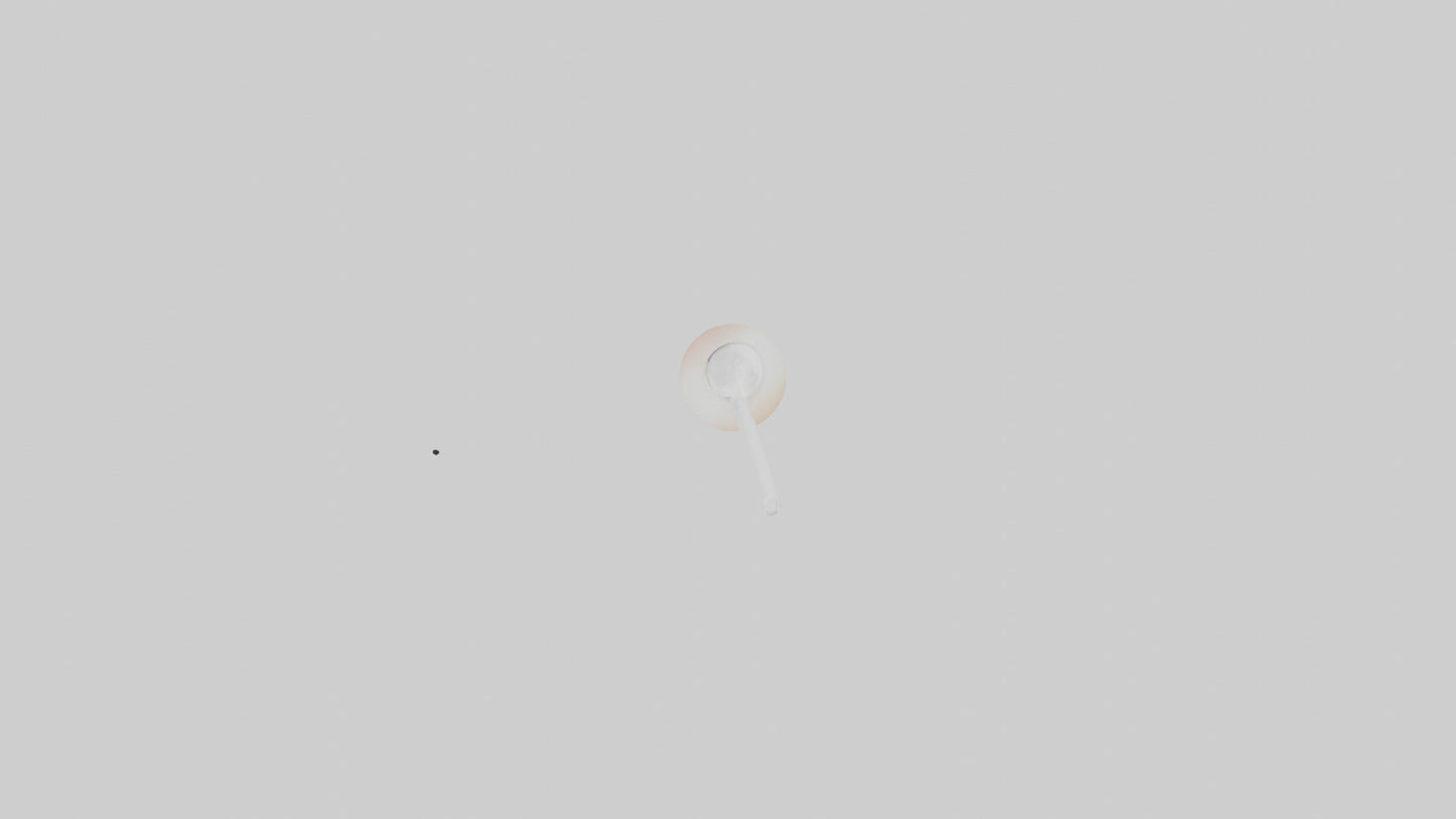 3D model Lychee juice model VR / AR / low-poly