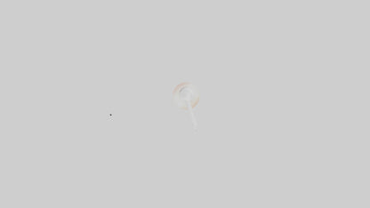 3D model Lychee juice model VR / AR / low-poly