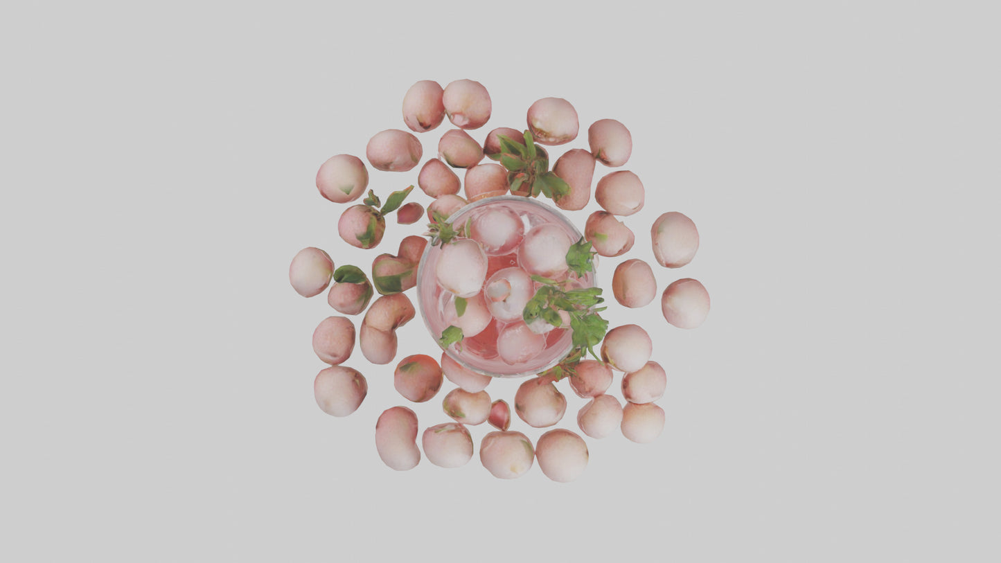 3D model Lychee soda model VR / AR / low-poly