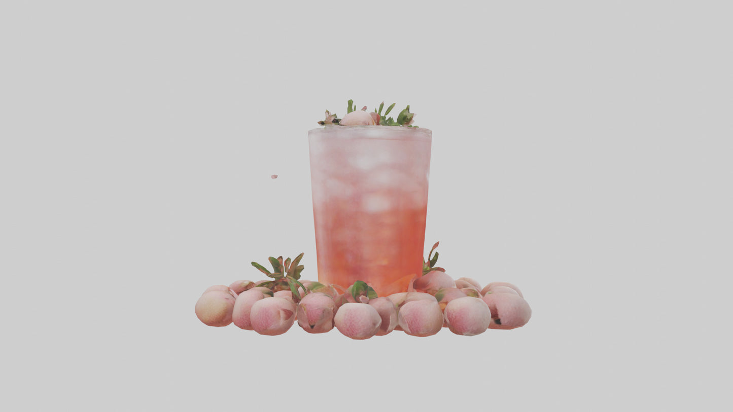 3D model Lychee soda model VR / AR / low-poly