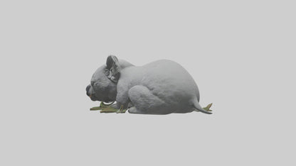 3D model Lying Koala Model 1 VR / AR / low-poly