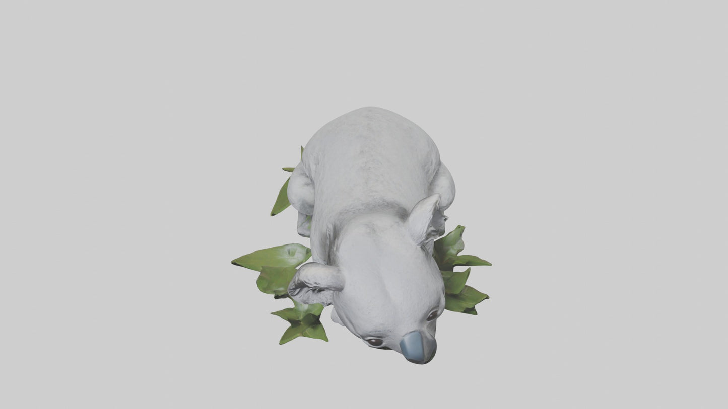 3D model Lying Koala Model 1 VR / AR / low-poly