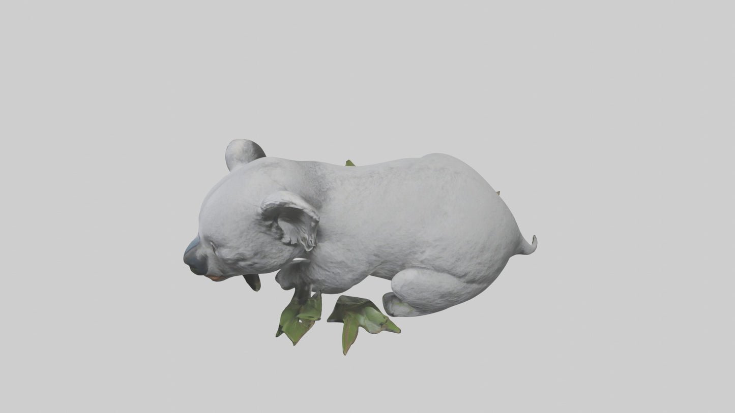 3D model Lying Koala Model 1 VR / AR / low-poly