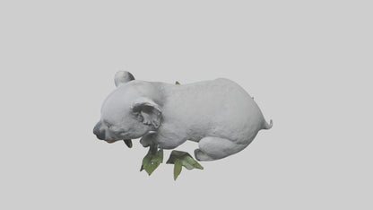 3D model Lying Koala Model 1 VR / AR / low-poly
