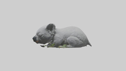 3D model Lying Koala Model 1 VR / AR / low-poly