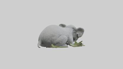 3D model Lying Koala Model 1 VR / AR / low-poly