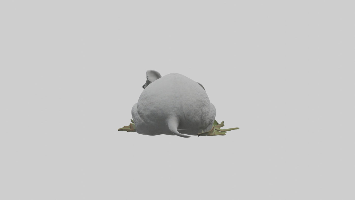 3D model Lying Koala Model 1 VR / AR / low-poly