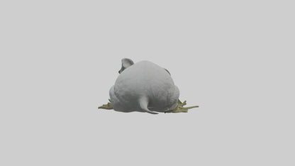 3D model Lying Koala Model 1 VR / AR / low-poly