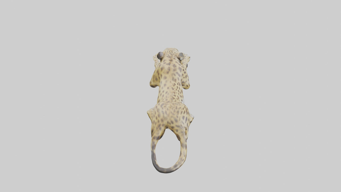 3D model Lying Leopard Model 1 VR / AR / low-poly