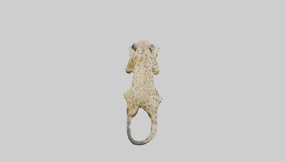 3D model Lying Leopard Model 1 VR / AR / low-poly